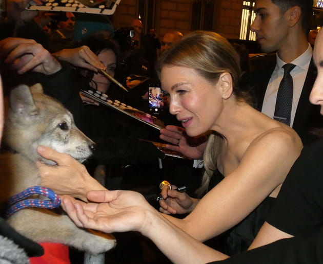 Ren&eacute;e Zellweger, une actrice qui a du chien