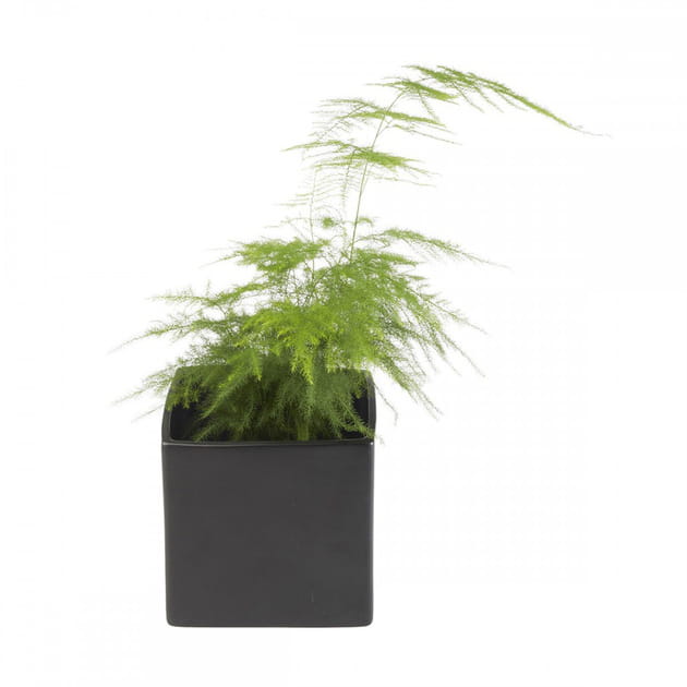 Pot carr&eacute; noir