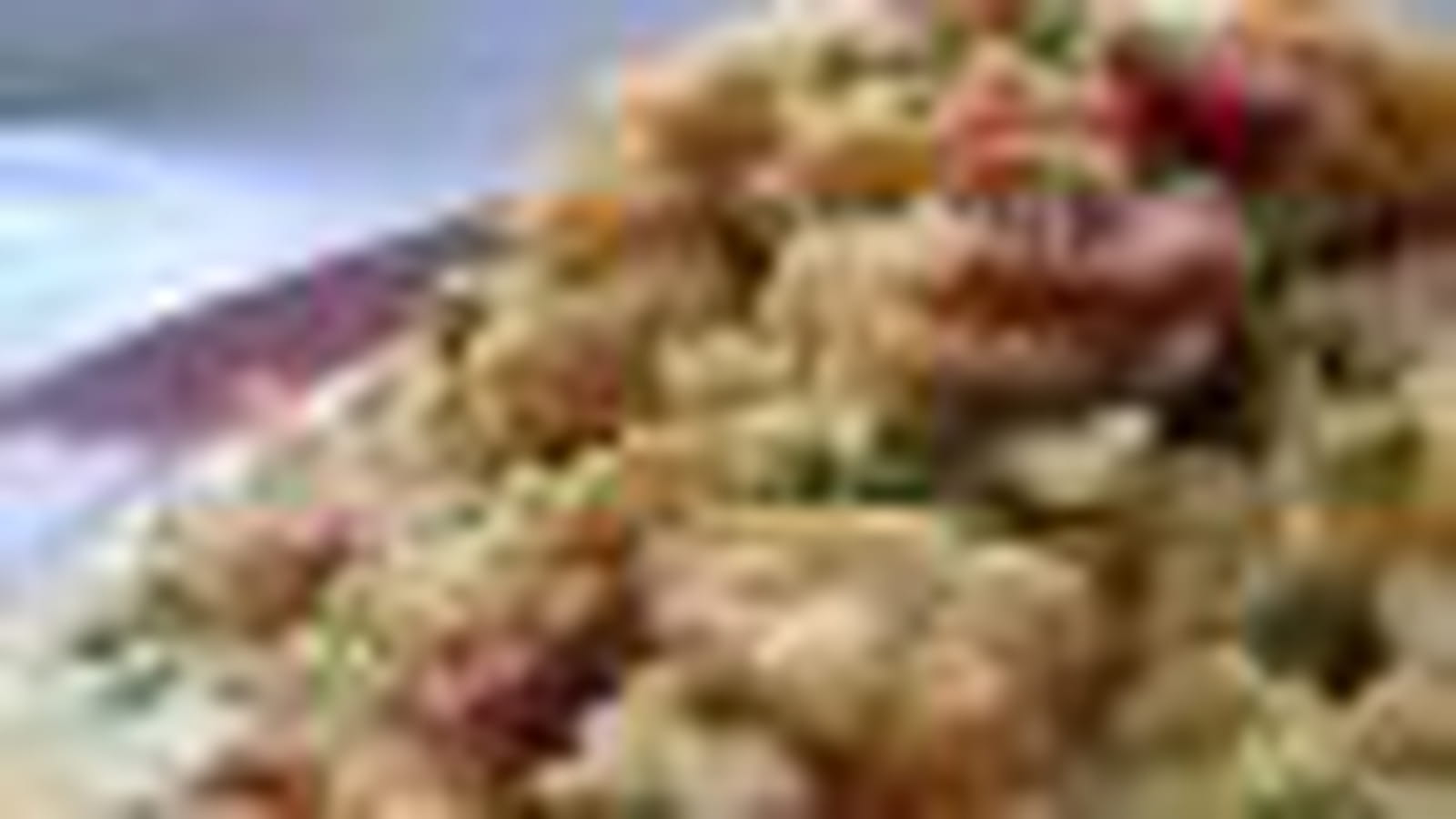 Risotto