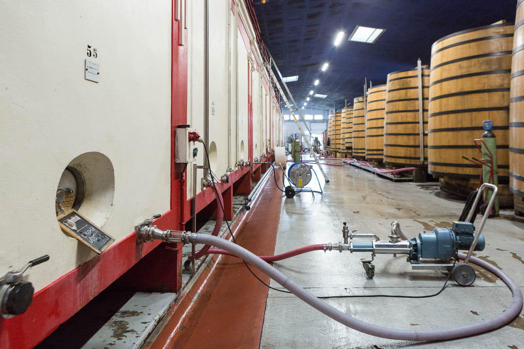 La macération des fruits