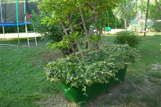 Une baignoire bien verdoyante