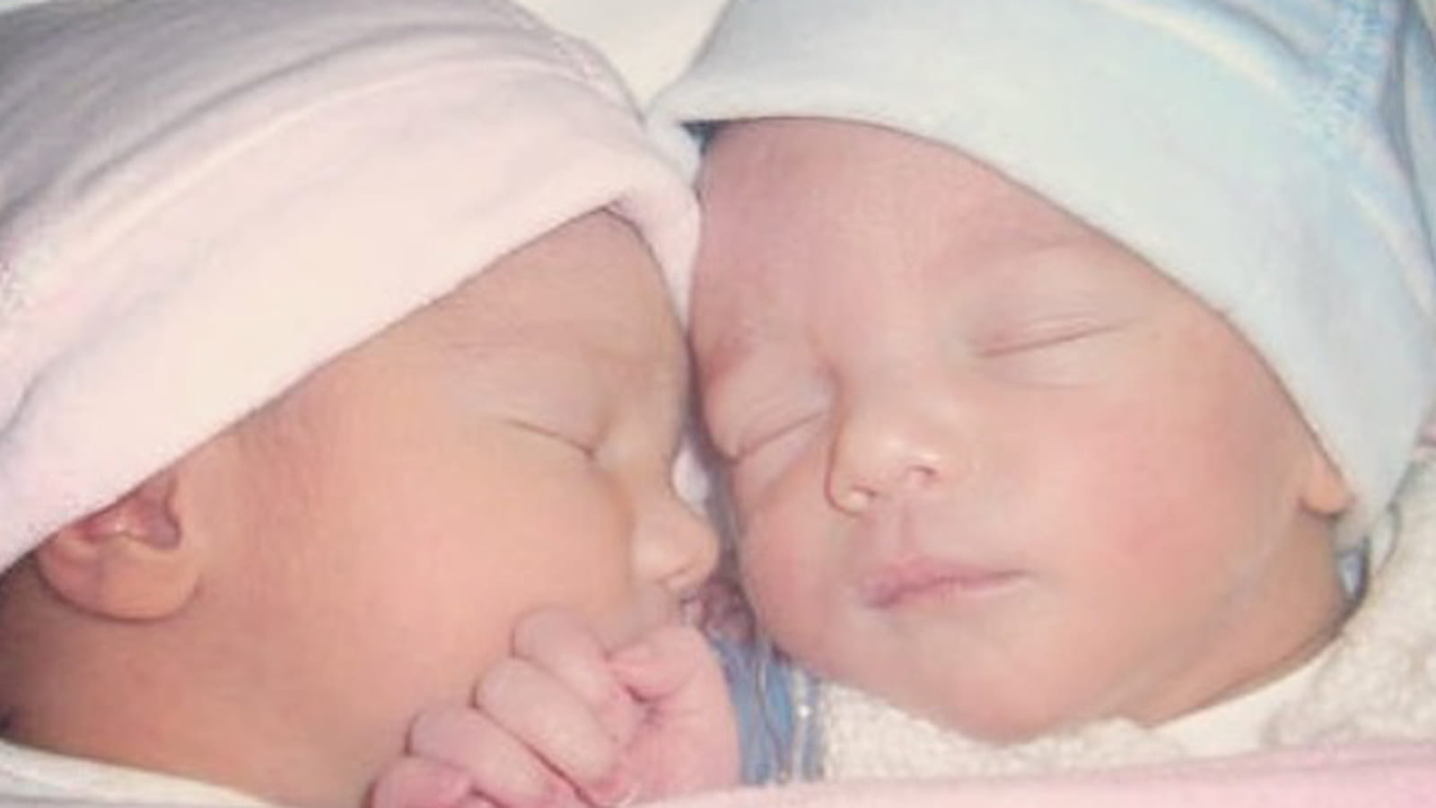 Les jumeaux d'Elodie Gossuin