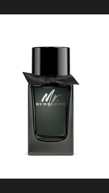 Mr. Burberry de Burberry