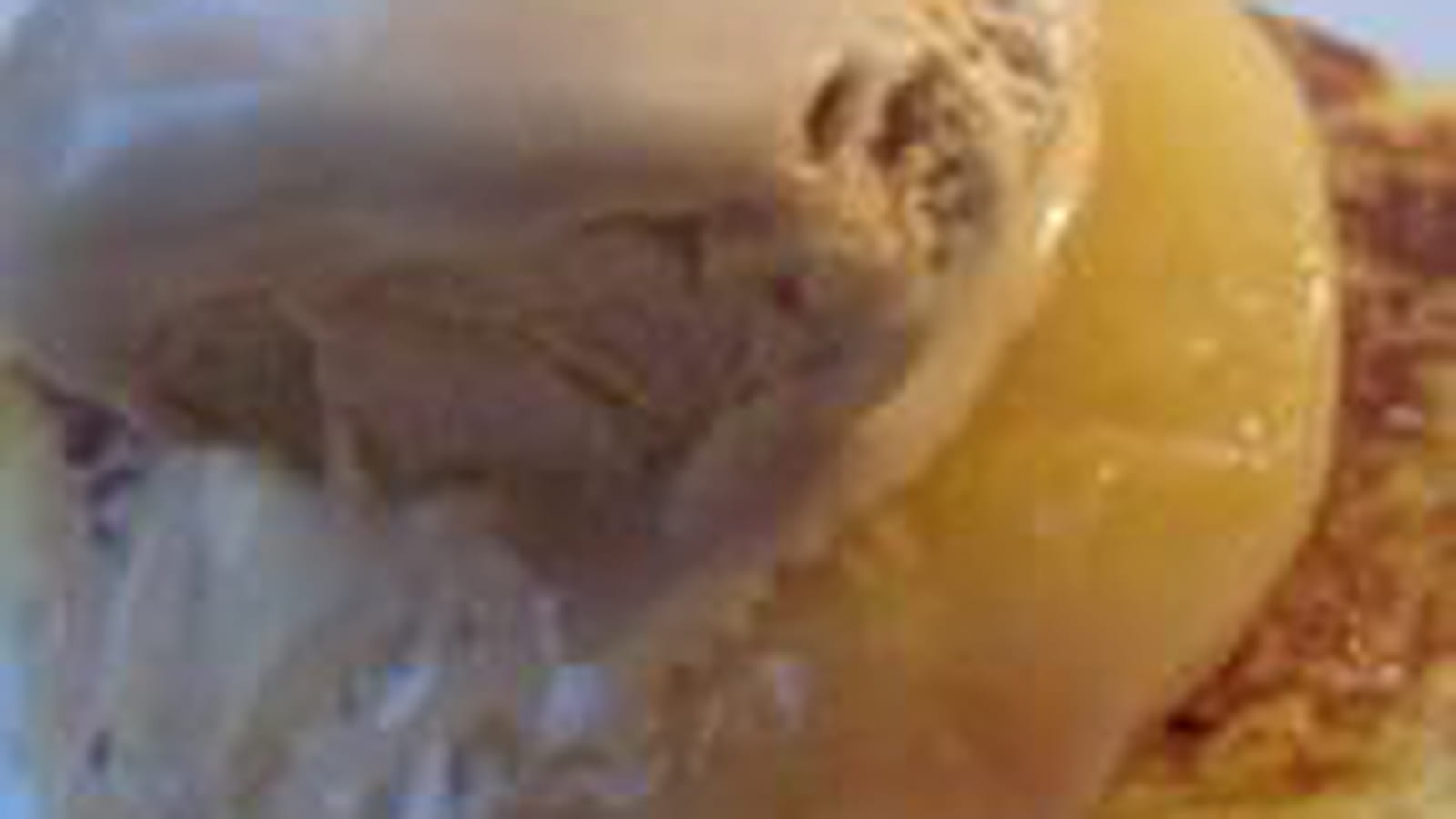 Brioche perdue, pêche pochée & glace caramel