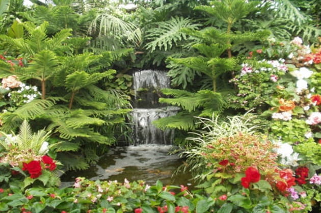 Jardins Butchart, Canada