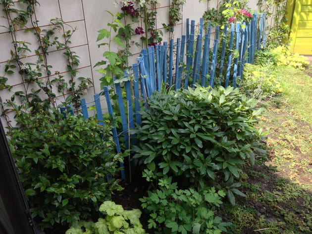 Des ganivelles bleues