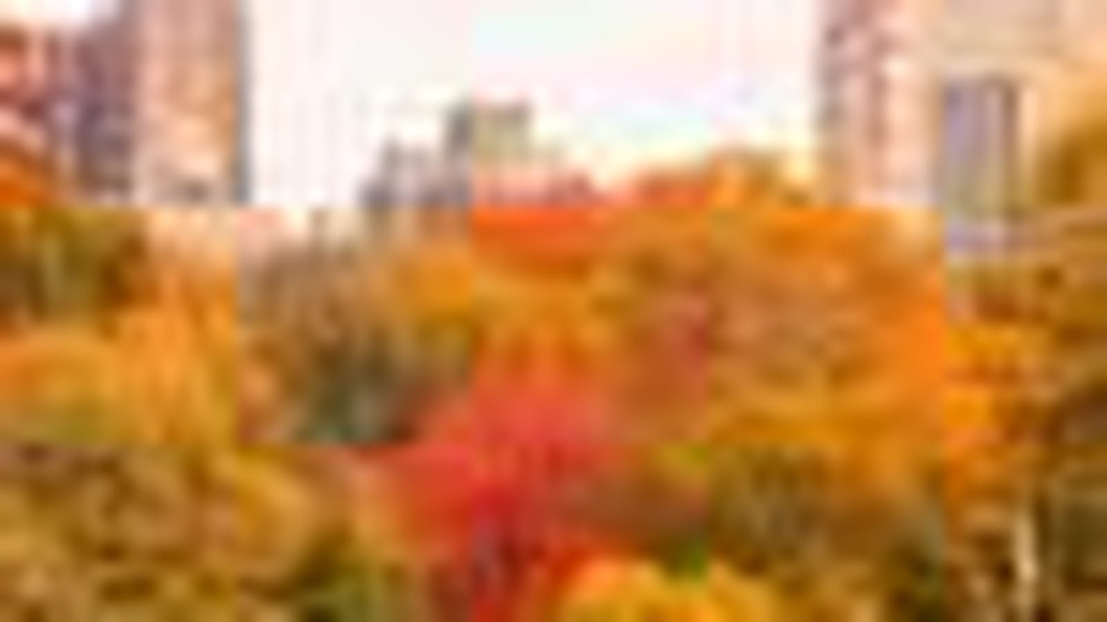 Central Park