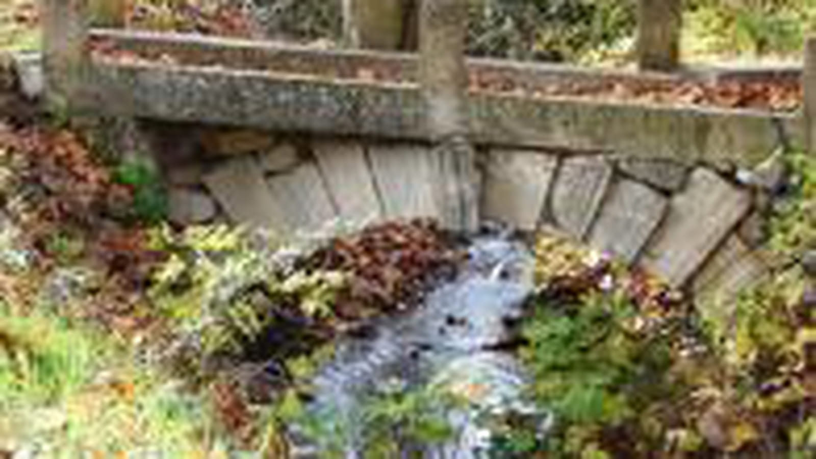 Cours d'eau
