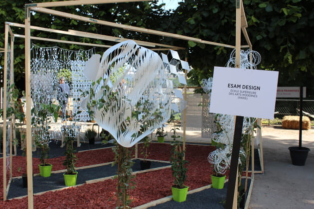 Architectures végétales