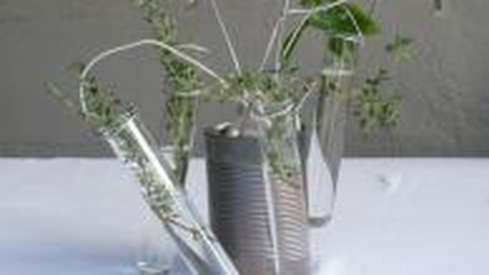 Centre de table