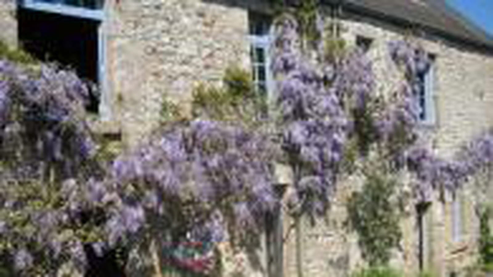 Glycine