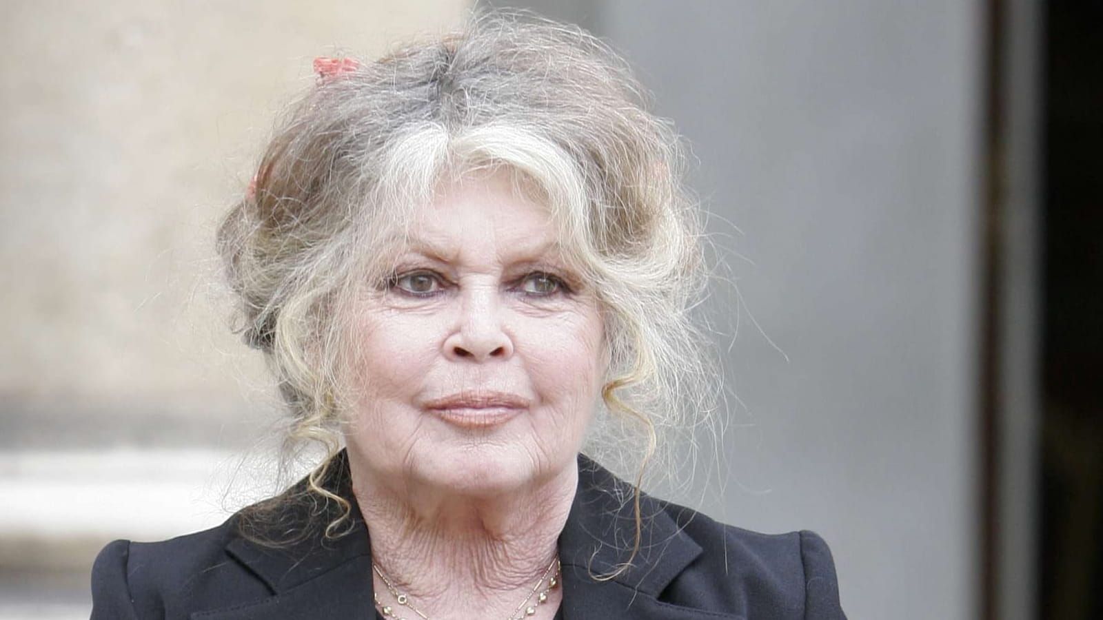 Brigitte Bardot