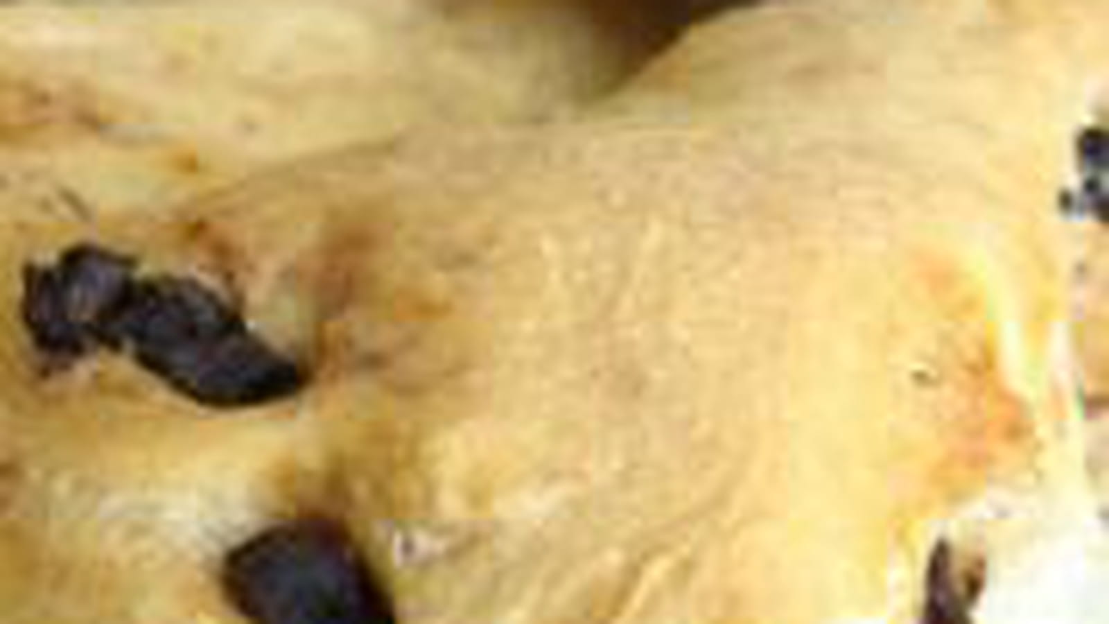 Fougasse aux tomates séchées