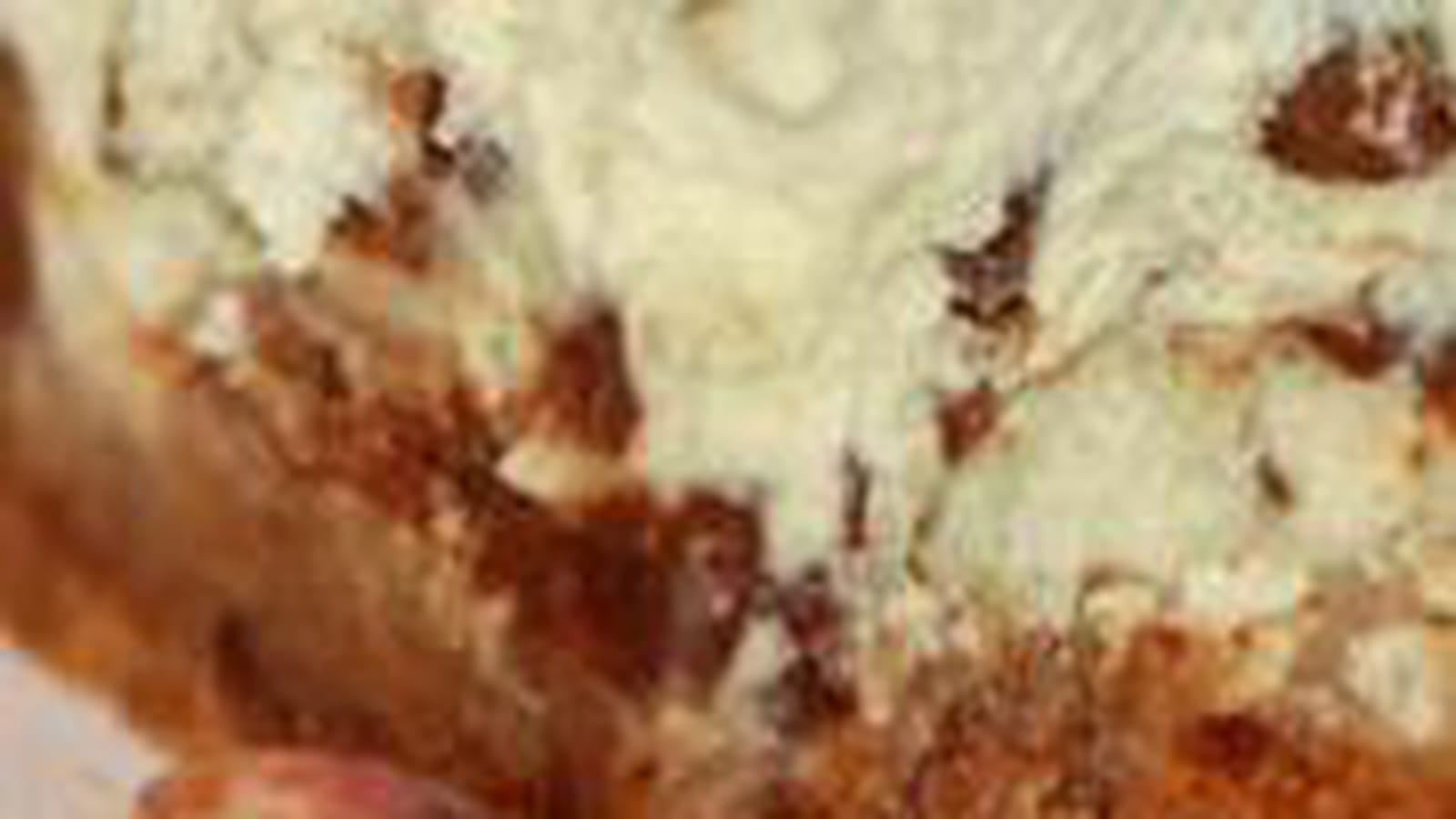 Cheesecake pistache chocolat