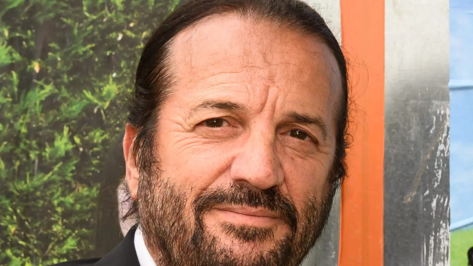 Francis Lalanne