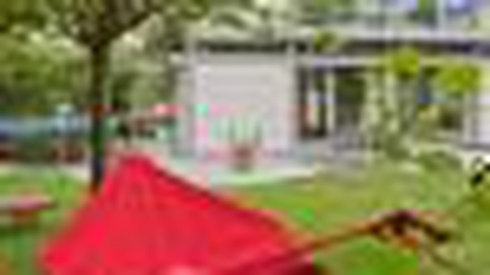 Depuis le jardin