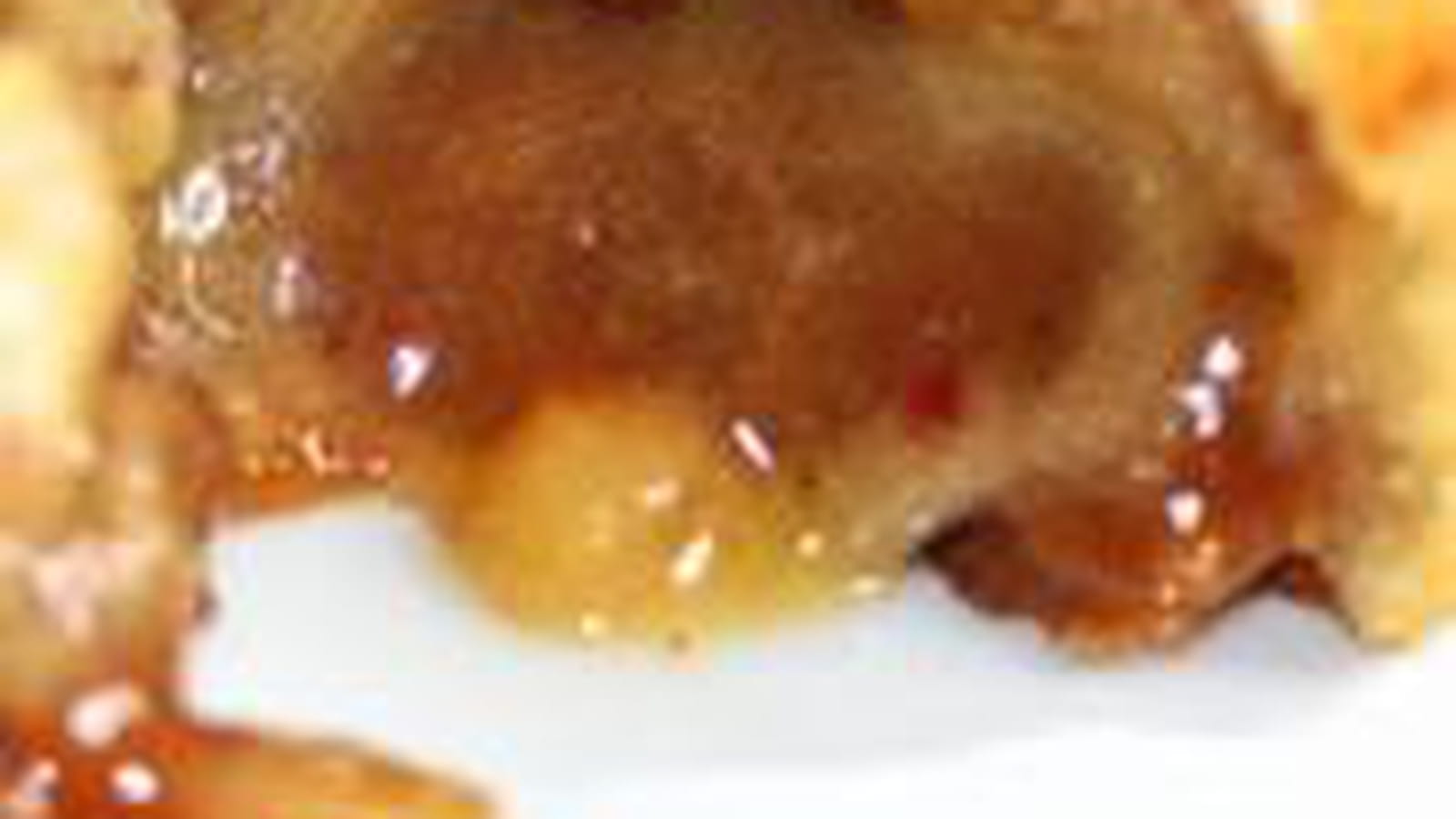 Coulant à la pâte de speculoos