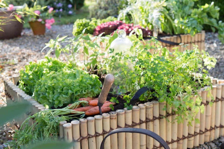 Comment s'occuper du jardin quand on a la flemme ?