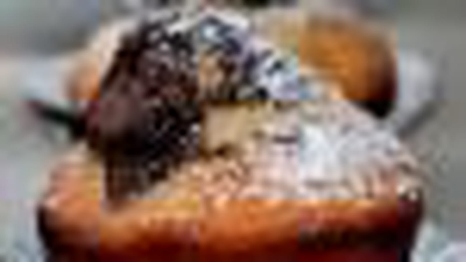 Muffins au chocolat-citron