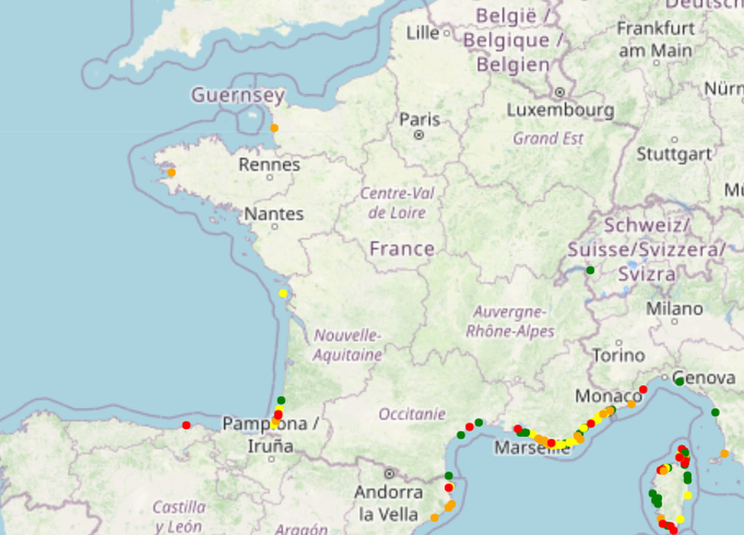 Des méduses un peu partout : la carte 2025 des plages de France à éviter