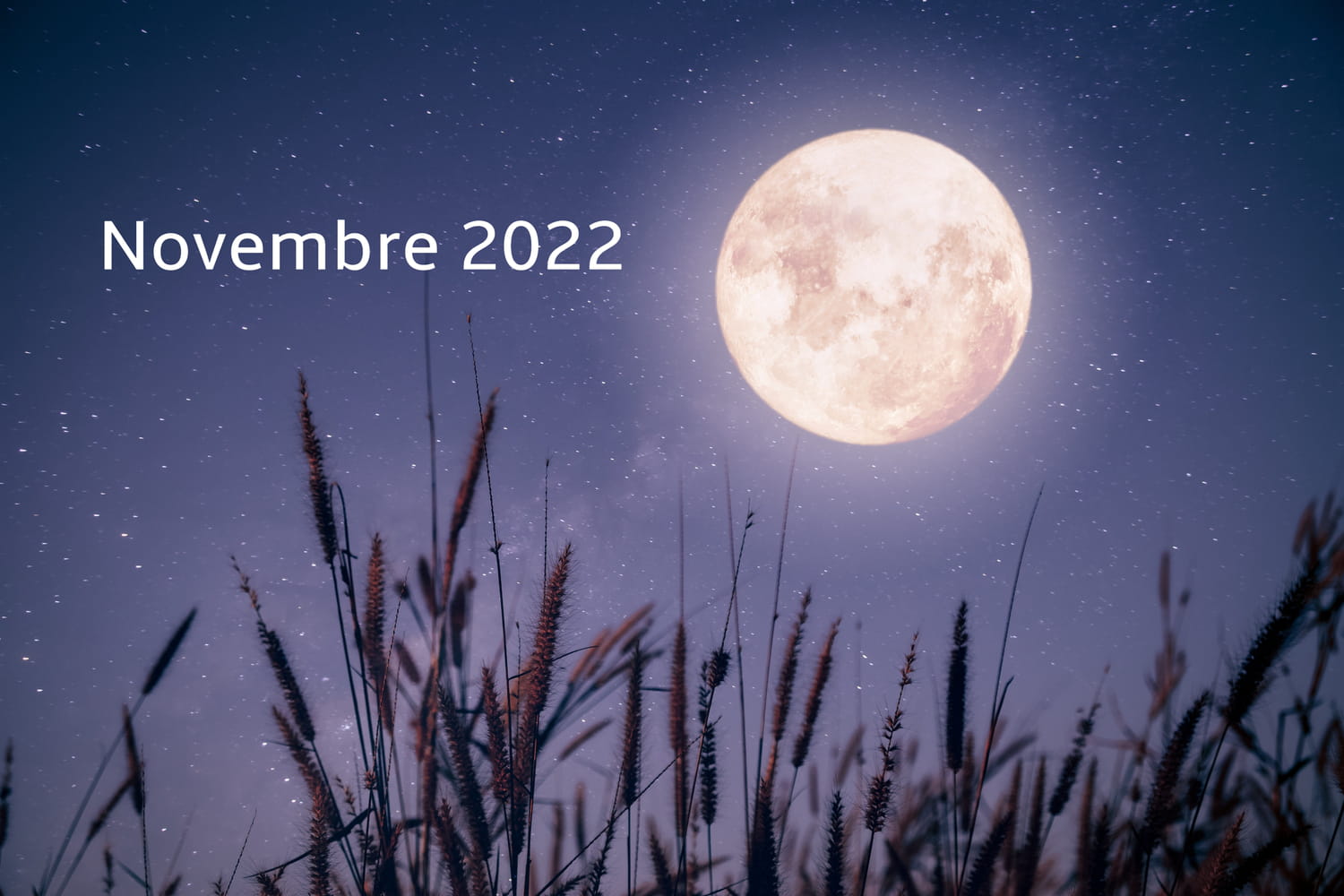 Calendrier lunaire au jardin novembre 2022