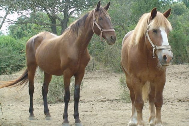 Dans la m&ecirc;me direction