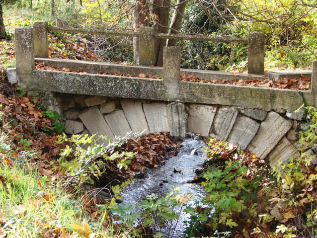 La petite rivi&egrave;re au fond du jardin