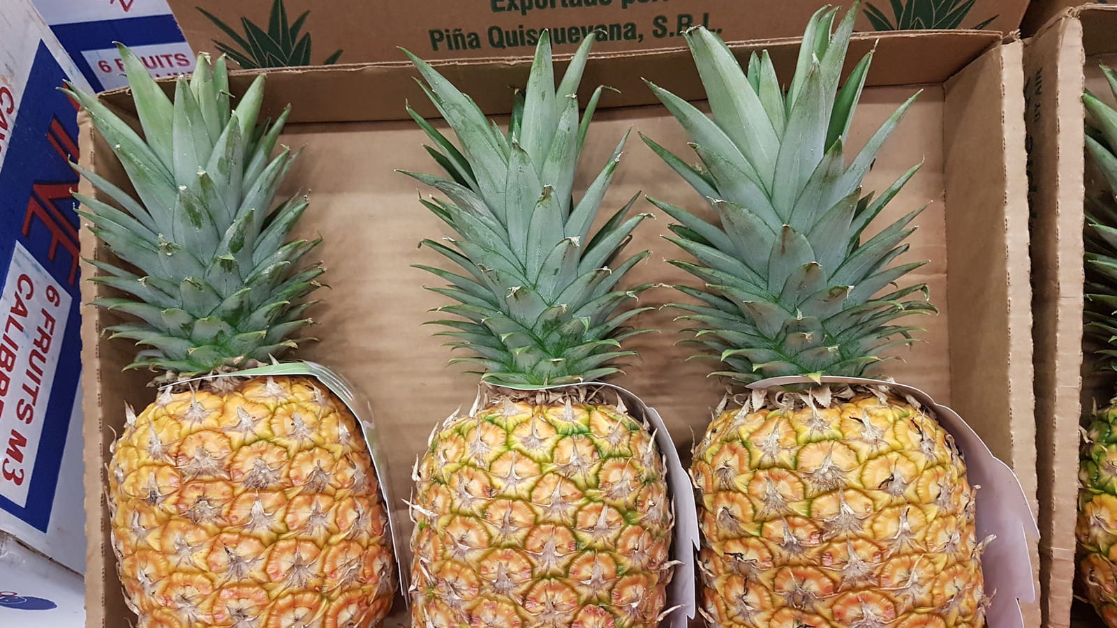 Ananas
