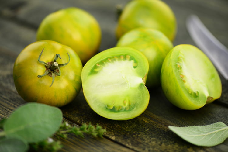 Recettes tomate verte : en sauce, beignet, conserve ou frite