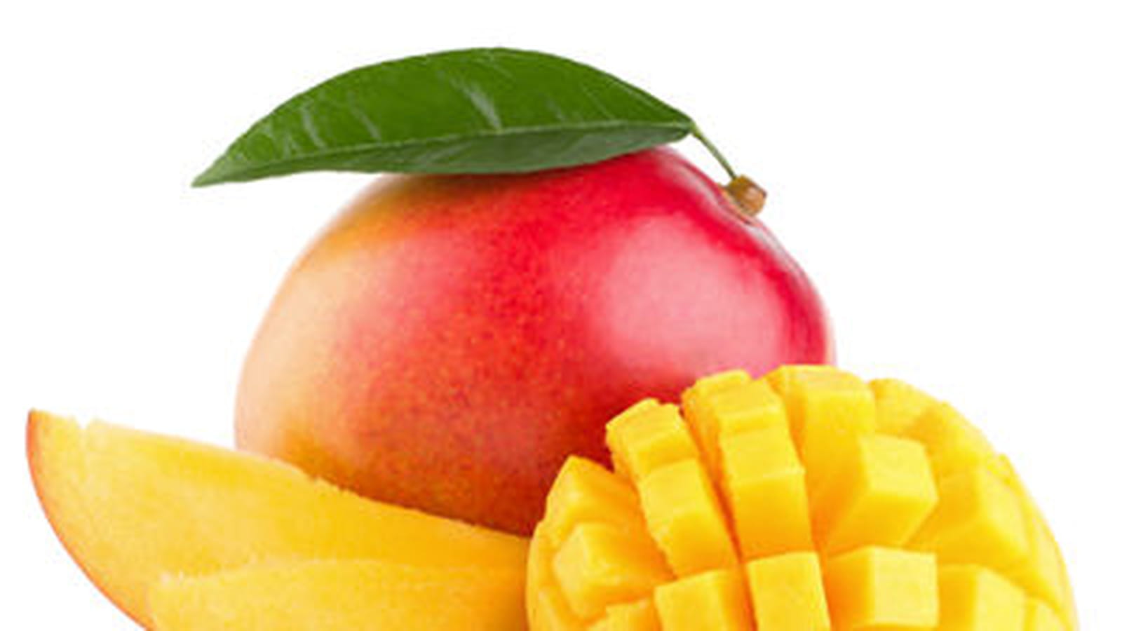 Mangue