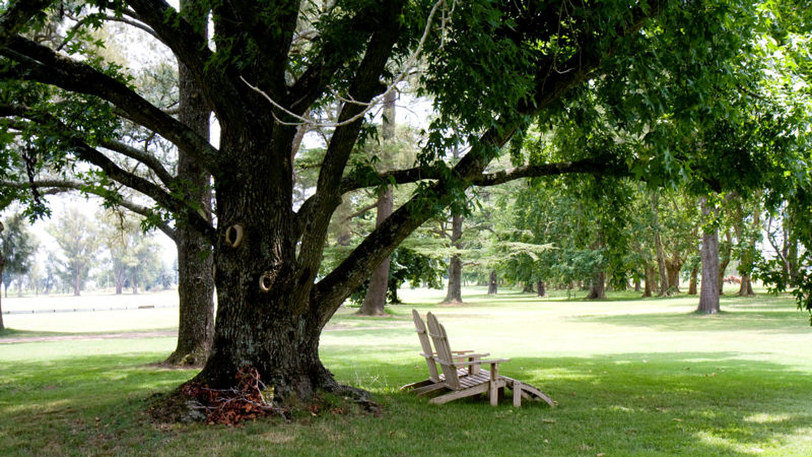 Chaise longue en bois