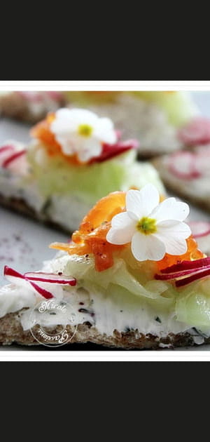 Canap&eacute;s printaniers