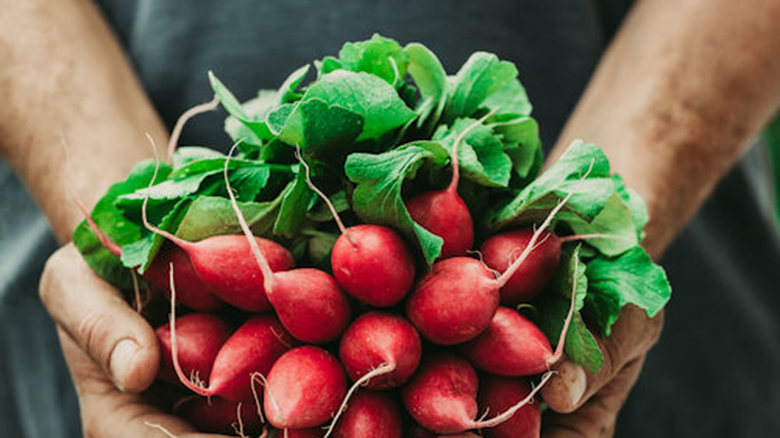 Aux fanes de légumes