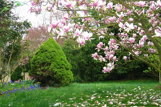 Au paradis des fleurs