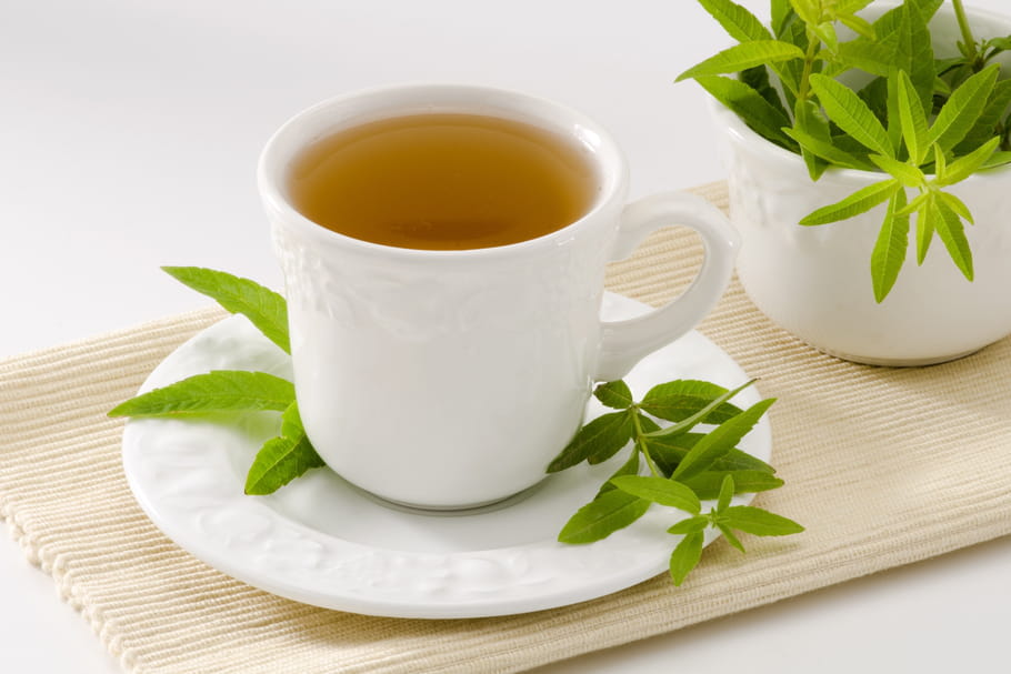 Verveine odorante, officinale, citronnée : ses bienfaits pour la santé