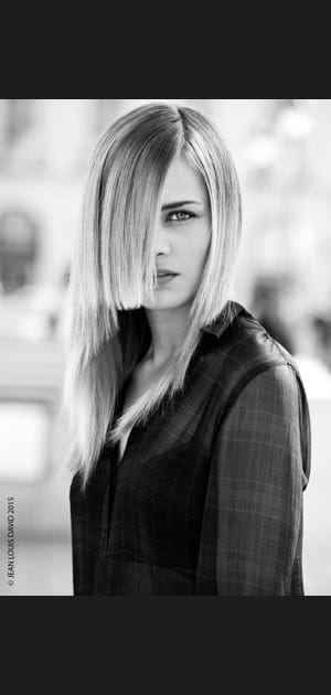 La m&egrave;che graphique par Jean Louis David