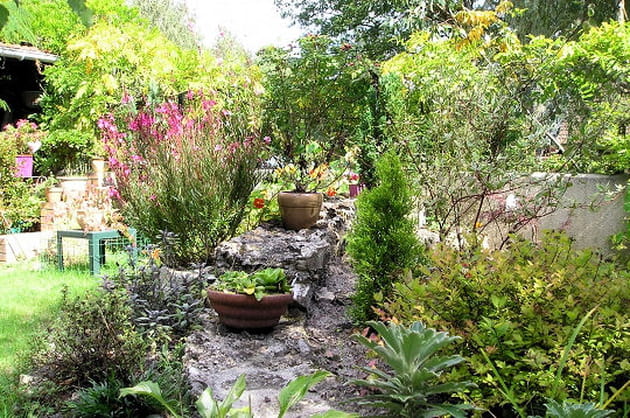 Une cascade de fleurs