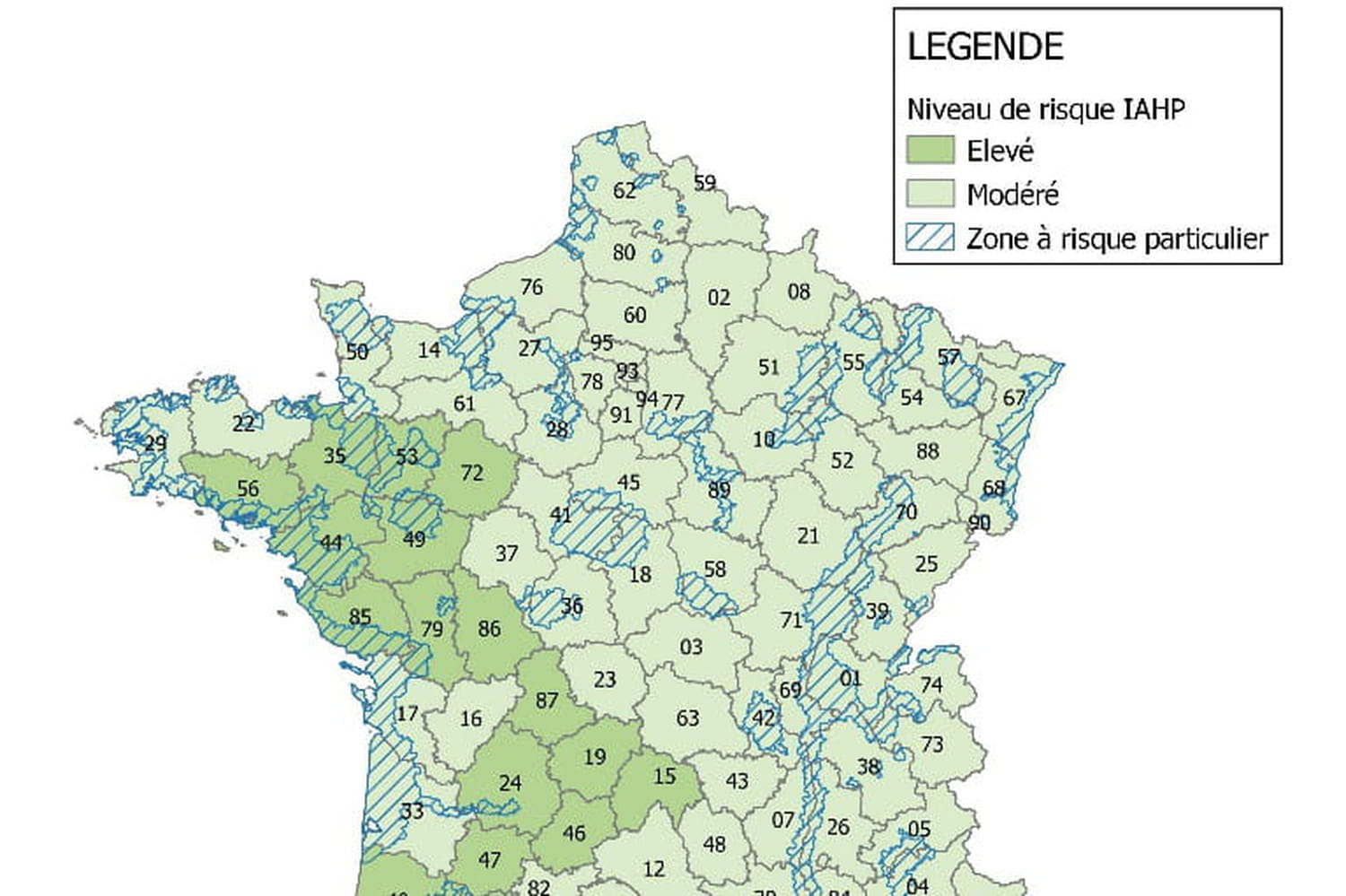 Grippe aviaire : amélioration en France, quels risques pour l'Homme ?