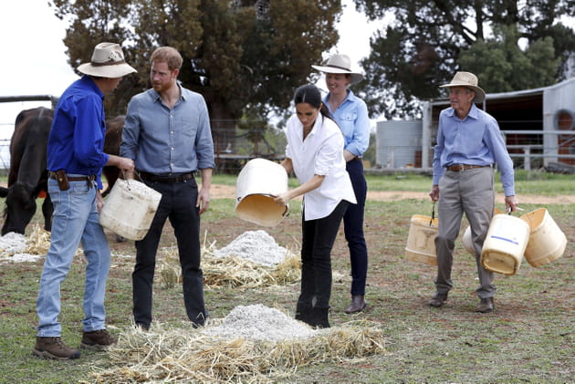 Prince Harry et Meghan Markle mettent la main &agrave; la paille