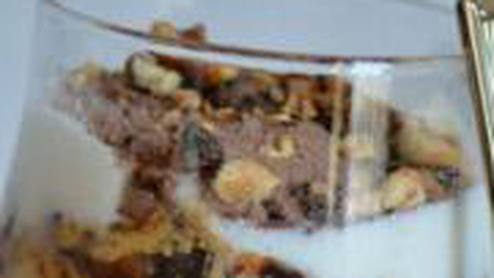 Tiramisu au miel, noisettes caramélisées et pain d'épices