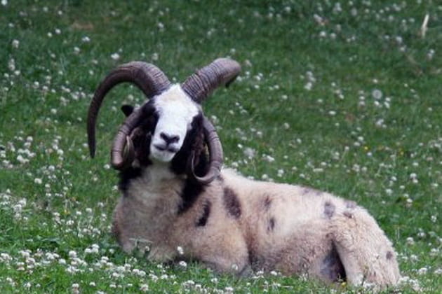 4&nbsp;pour le prix de 2&nbsp;!