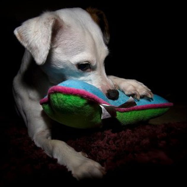 Un coussin pour se défouler