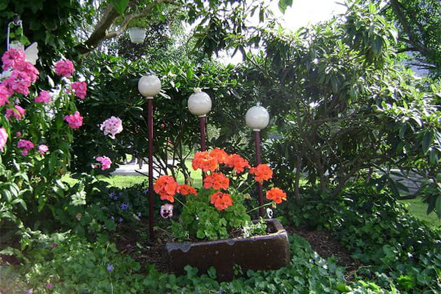 Une auge &agrave; cochons devenue jardini&egrave;re