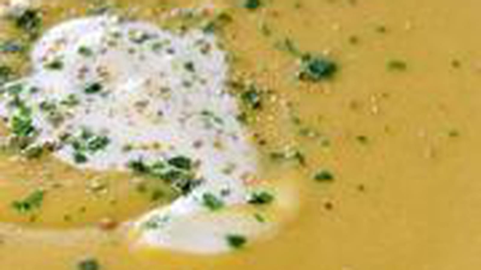 Soupe de lentilles au cantal