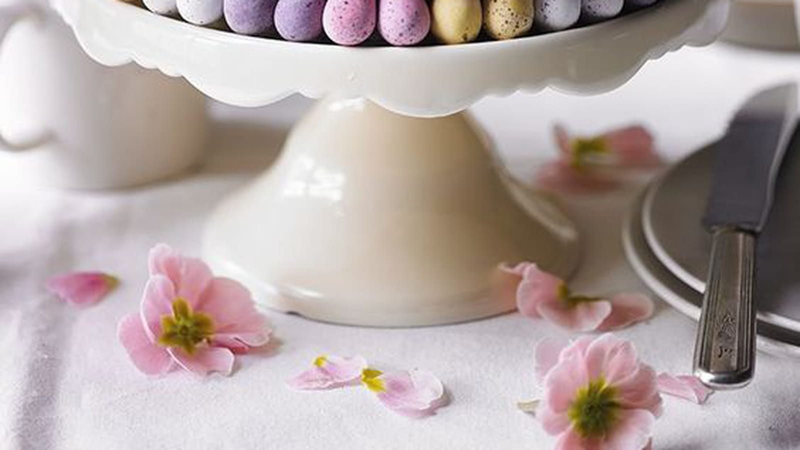 Gâteau tout en douceur