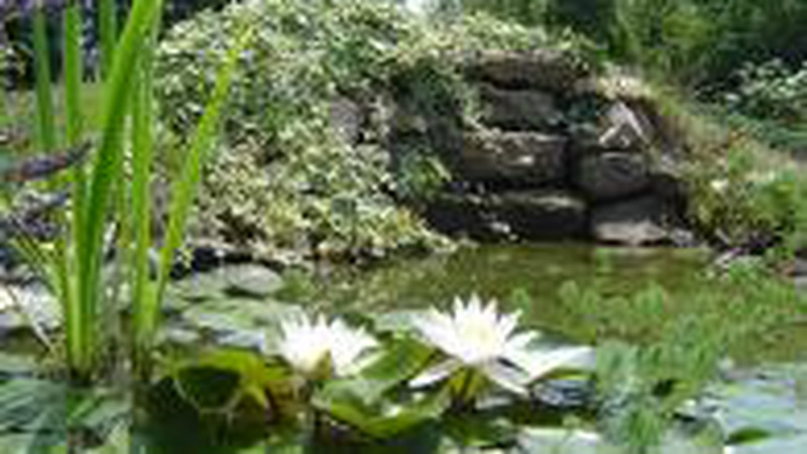 Cascade
