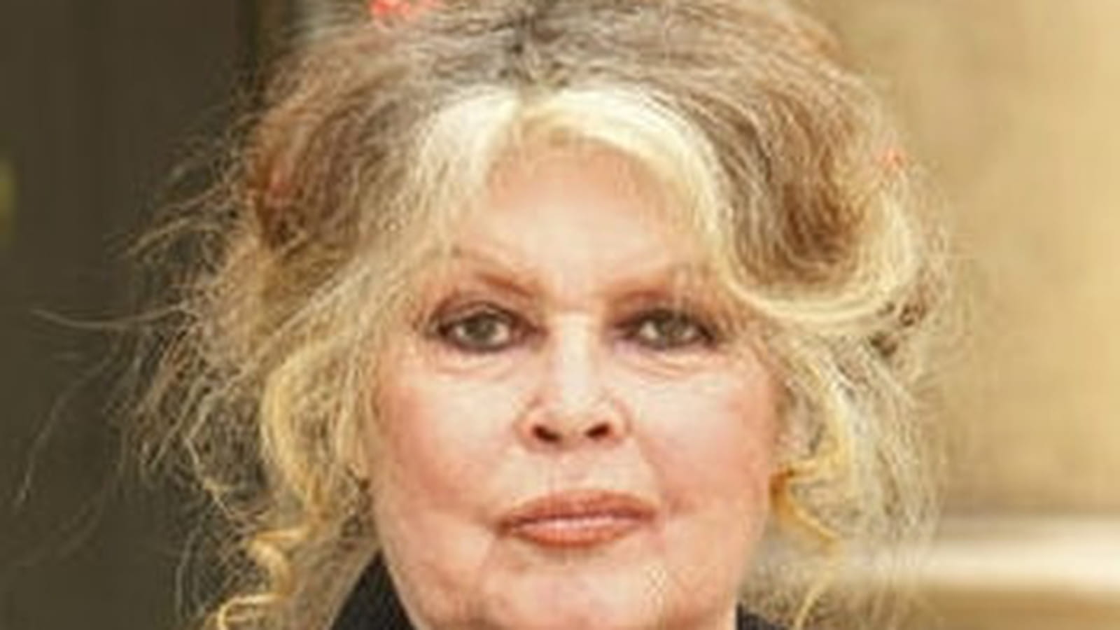 Brigitte Bardot 