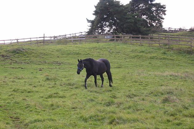 Une retrait&eacute;e