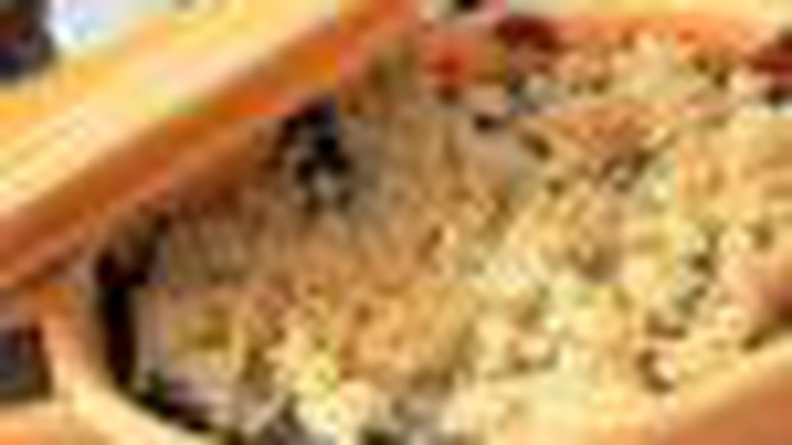 Crumble