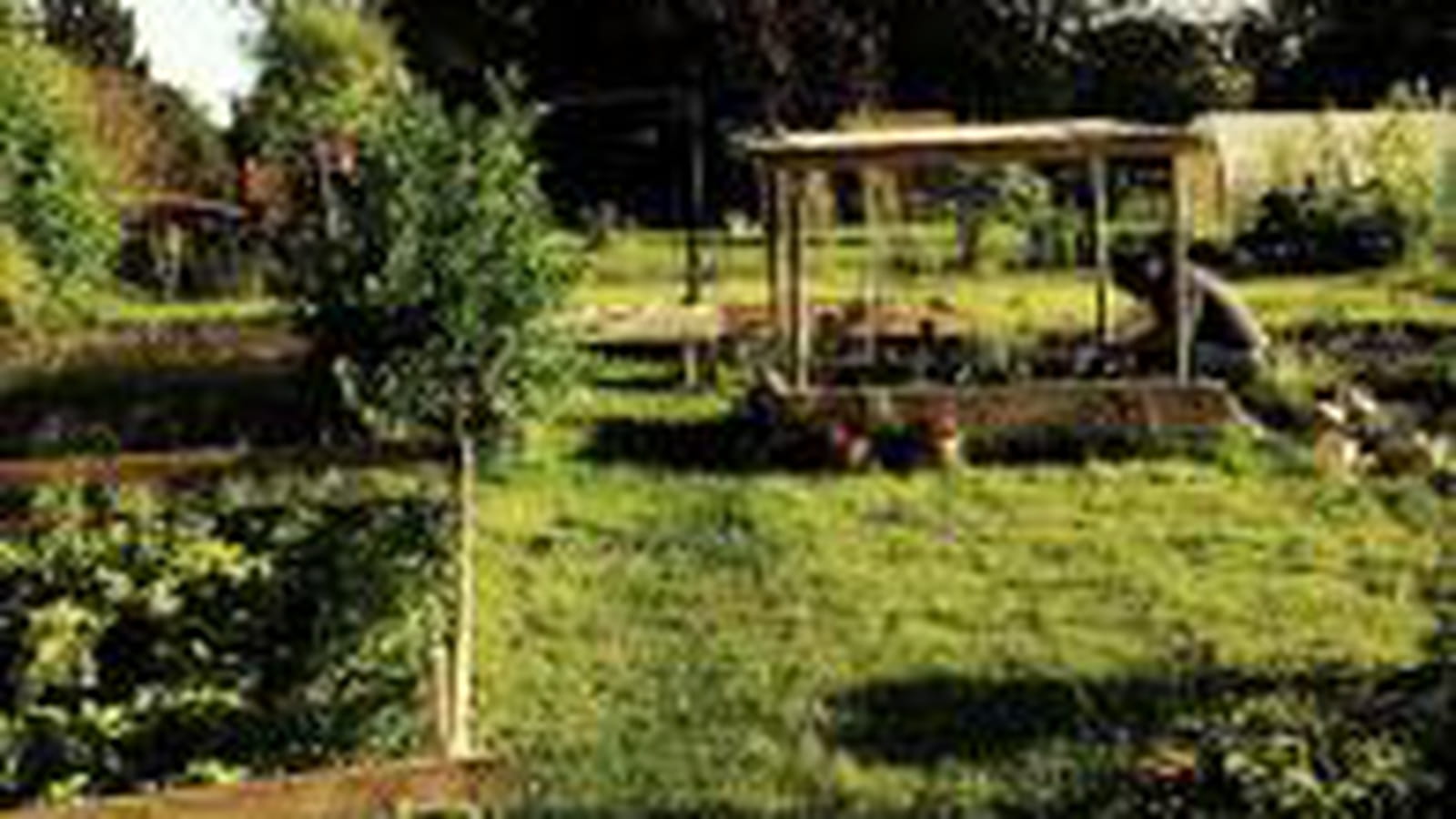 Potager en carré